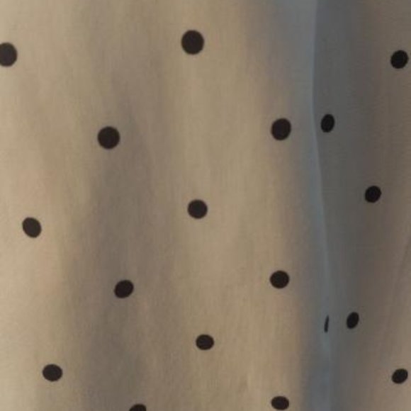 Anne Kline Polka Dot Button Down Shirt - Picture 3 of 5